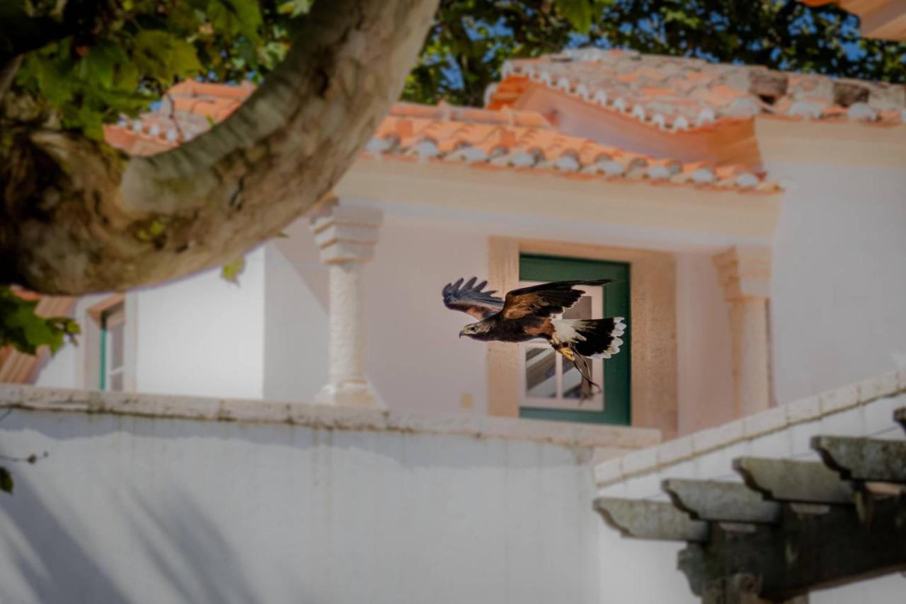 Quinta Da Foz Villa Foz do Arelho Eksteriør billede