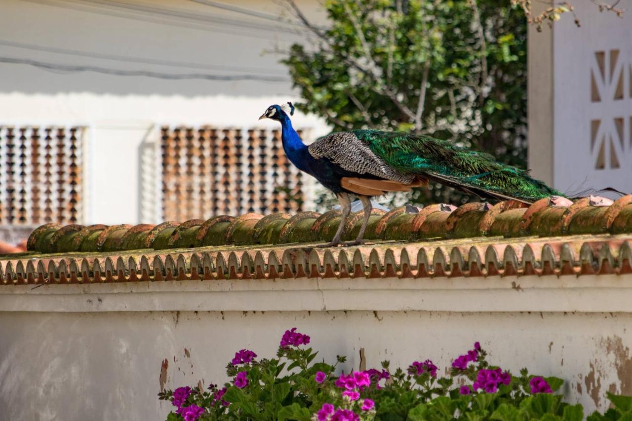 Quinta Da Foz Villa Foz do Arelho Eksteriør billede